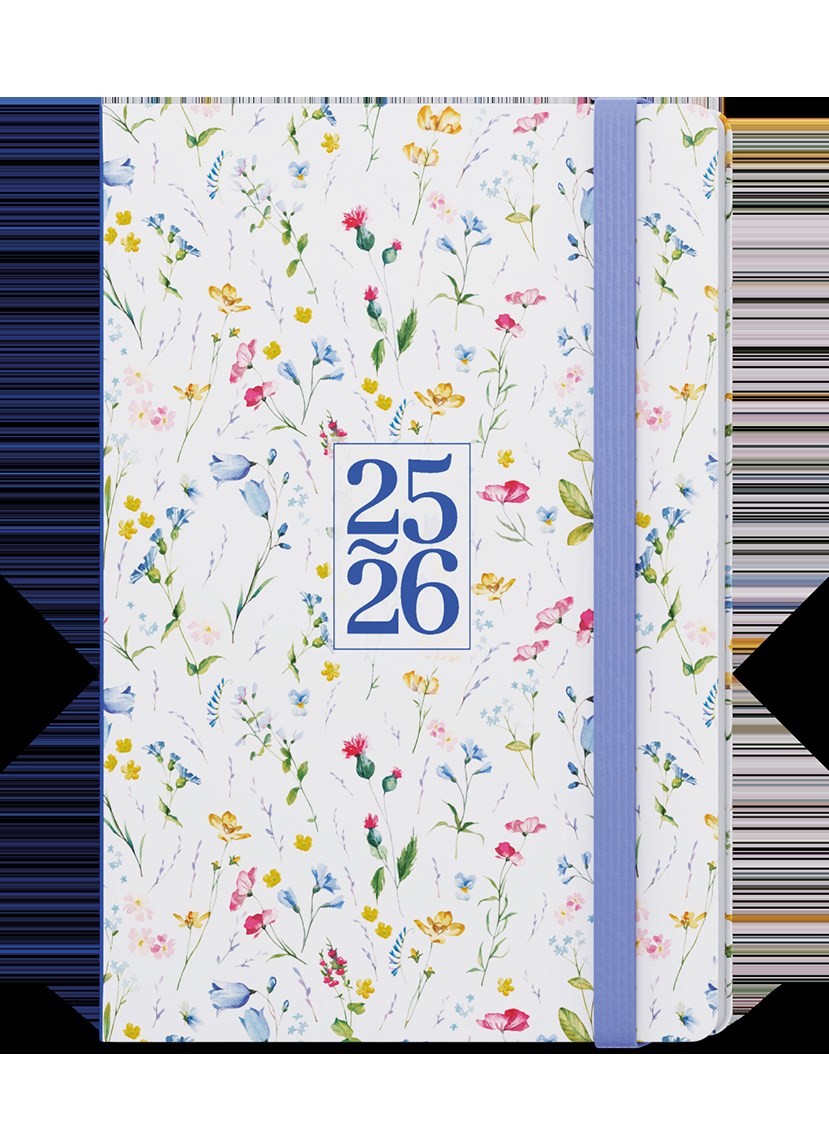 *B26  BLU9-3-26  18měsíční týdenní diář - Lungo - B6 - Luční , parciální lak, gumička bledě modrá