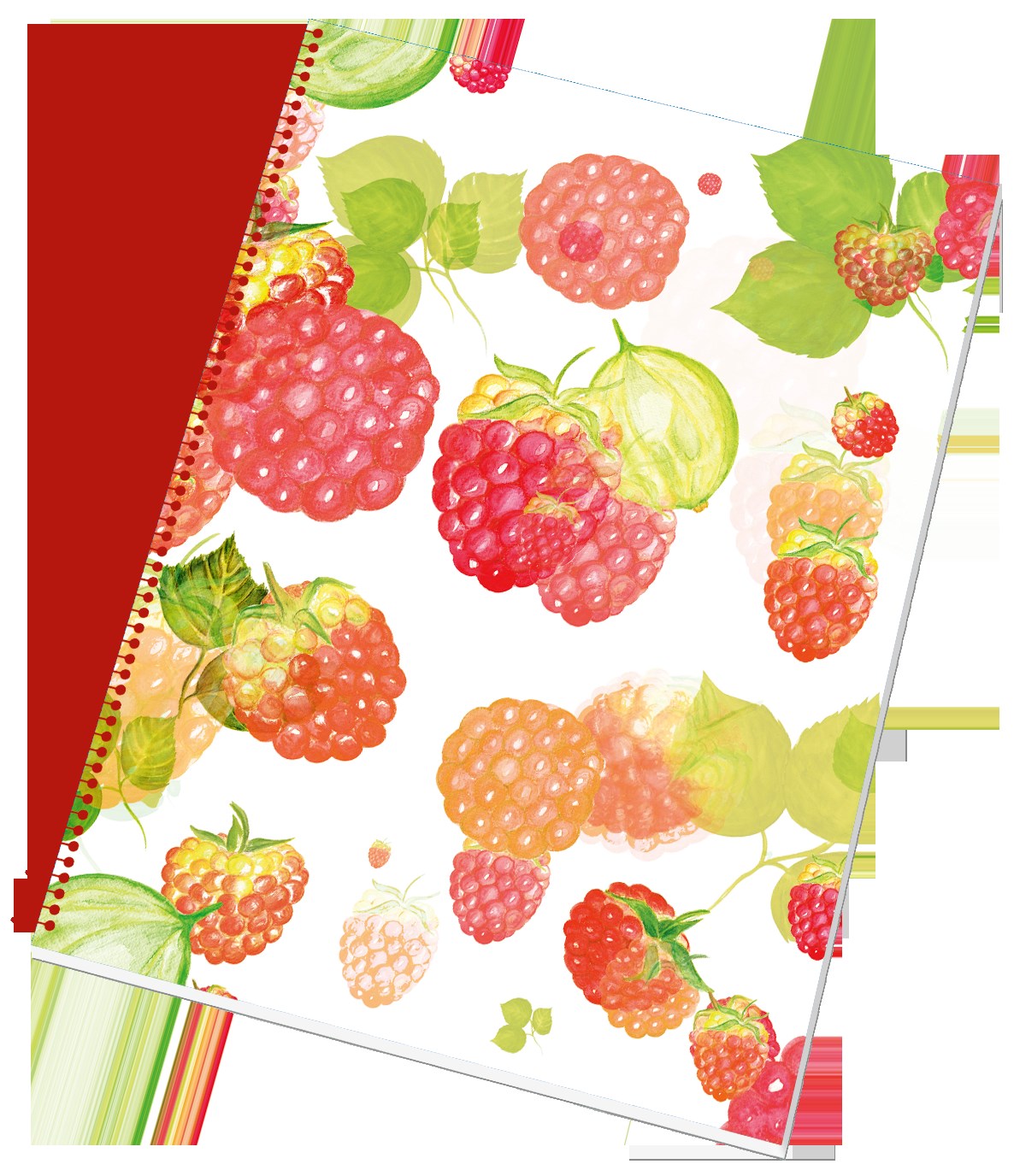 Blok KOLLEGIO boční spirála A4 linka