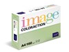 Coloraction A4 160g 28 Forest - pasteL. zelená/250 382086