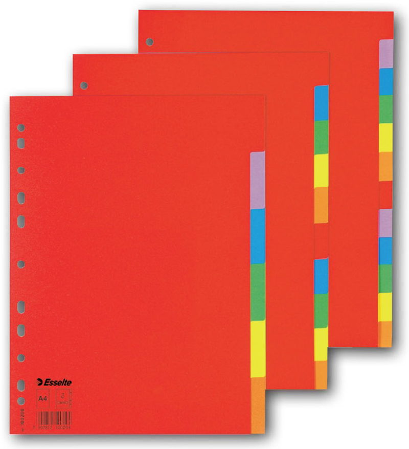 ESSELTE 100200 karton. rozlišovač Economy  6 listů