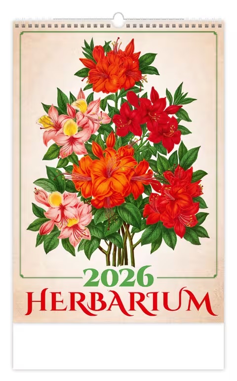 *H26  N144-26  nástěnný kalendář  Herbarium , 315x450(70)