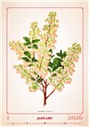 nástěnný kalendář  Herbarium