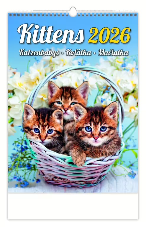 *H26  N180-26  nástěnný kalendář  Kittens/Katzenbabys/Koťátka/Mačičky , 240x330