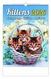 *H26  N180-26  nástěnný kalendář  Kittens/Katzenbabys/Koťátka/Mačičky , 240x330