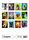 nástěnný kalendář  Puppies/Welpen/Štěňátka/Šteniatka