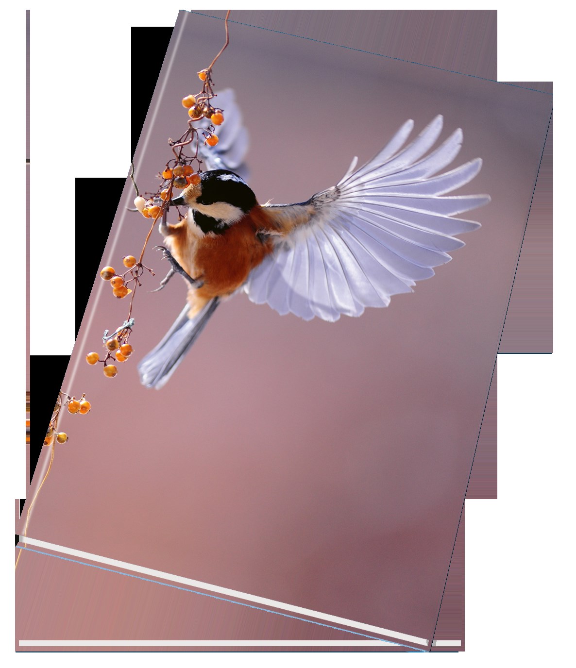 Kniha A4 linka 54104 96 listů