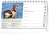  NOTIQUE Stolní kalendář České ptactvo
